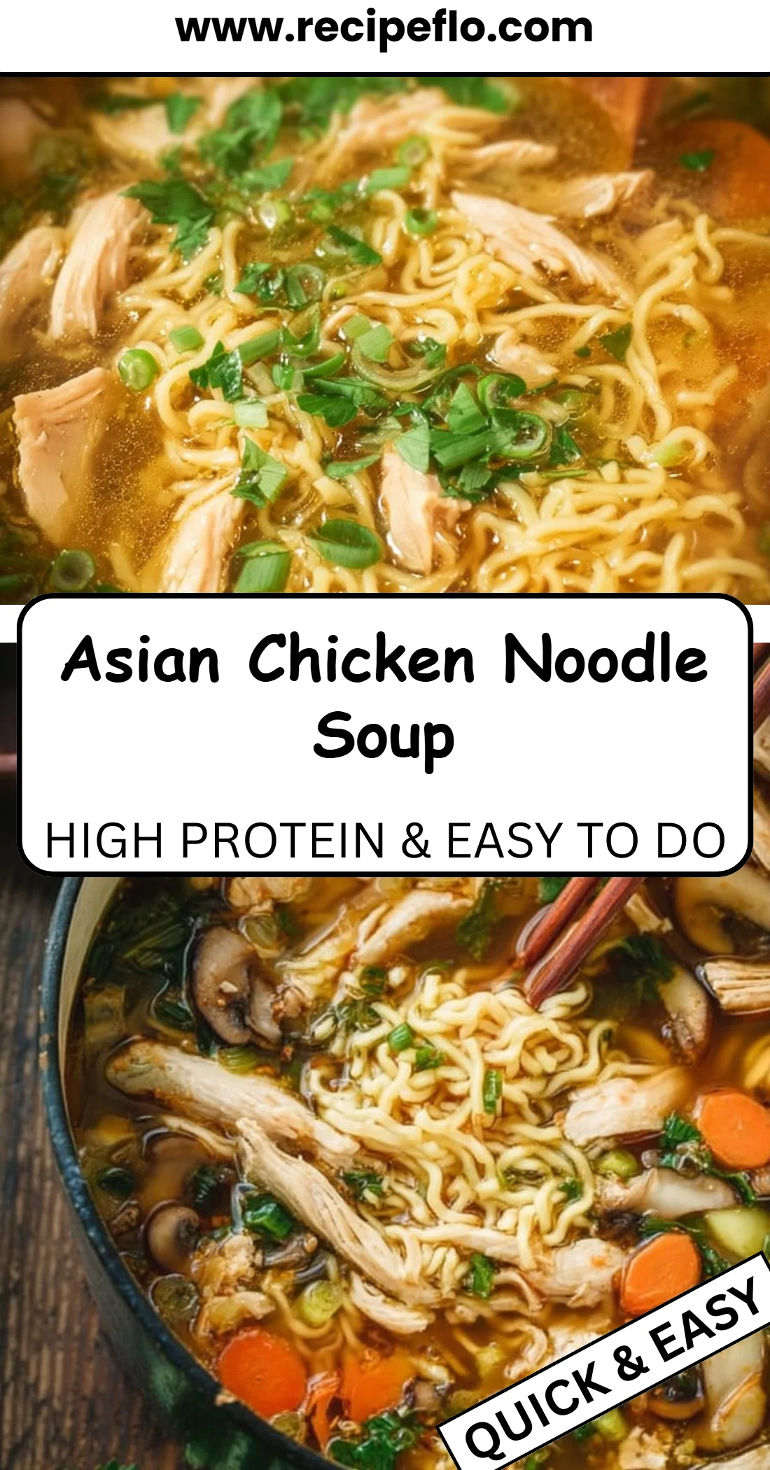 Asian Chicken Noodle Soup