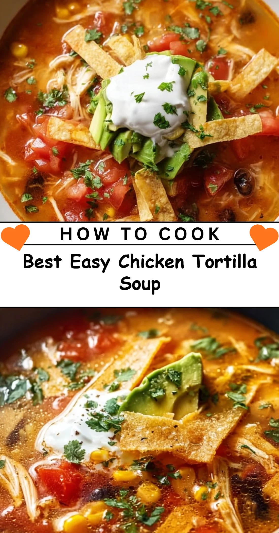 Best Easy Chicken Tortilla Soup 4 Best Easy Chicken Tortilla Soup