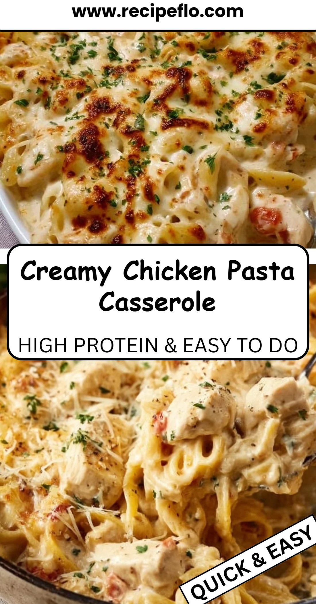 Creamy Chicken Pasta Casserole 4 Creamy Chicken Pasta Casserole