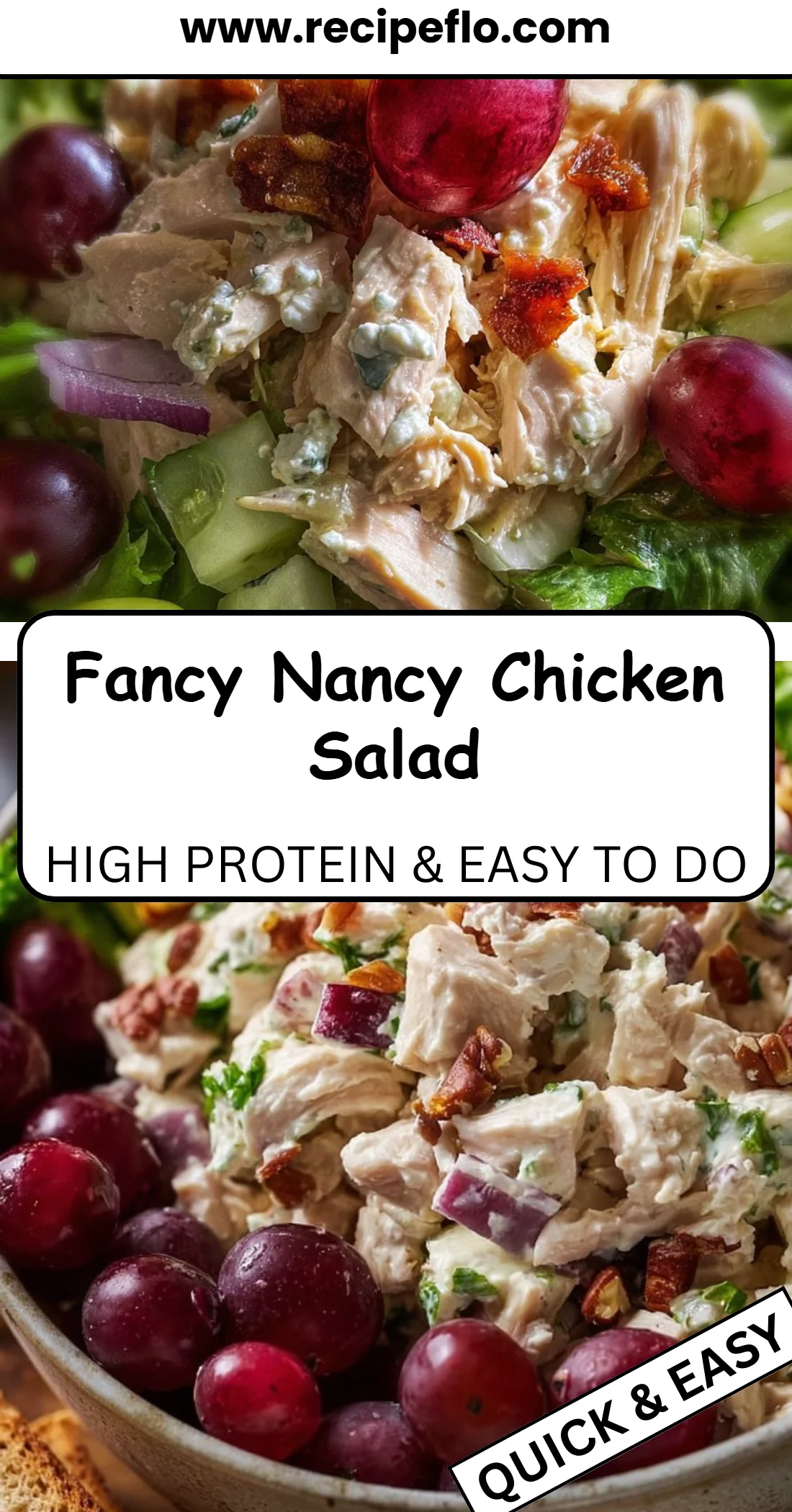 Fancy Nancy Chicken Salad 4 Fancy Nancy Chicken Salad