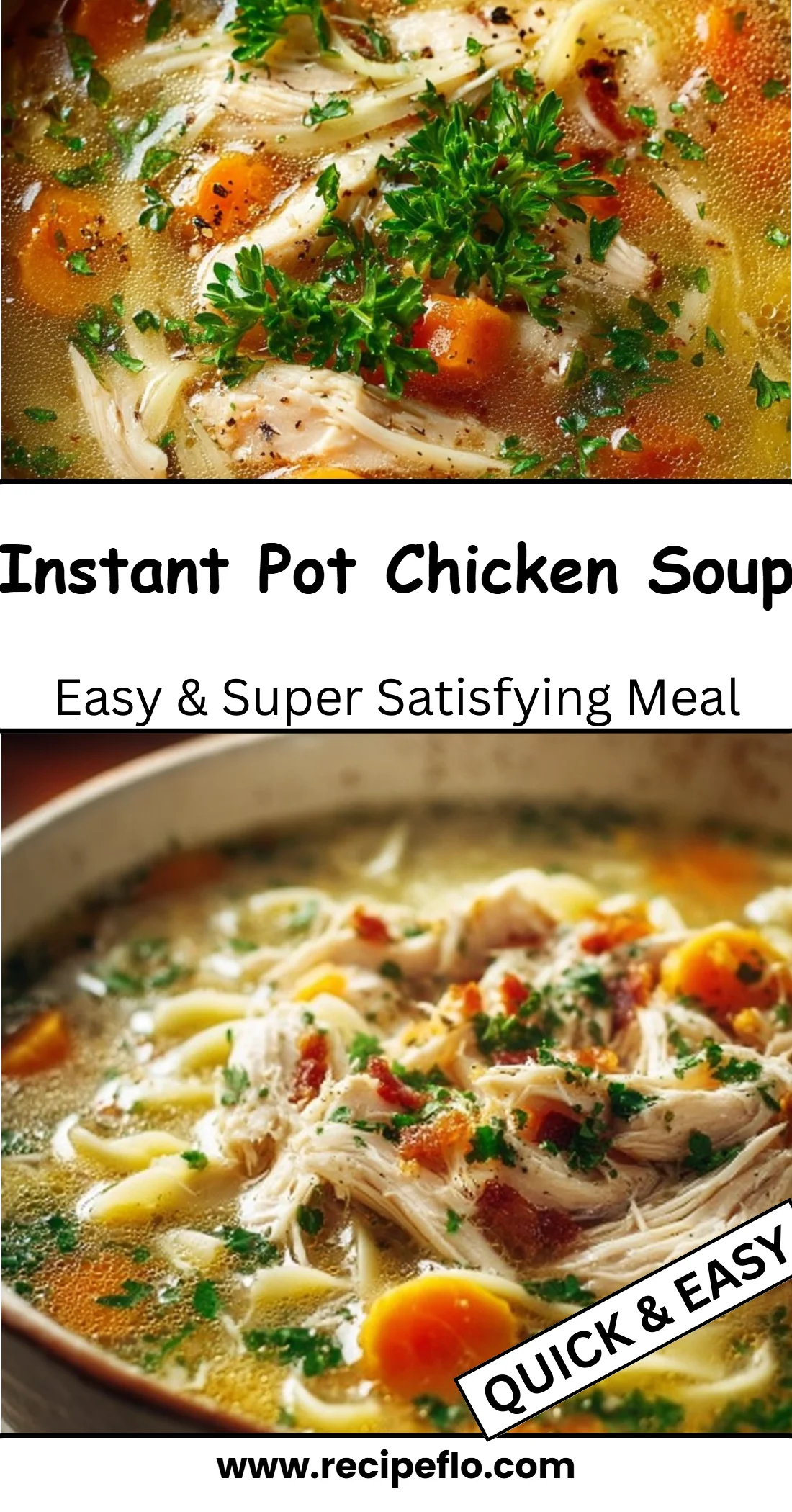 Instant Pot Chicken Soup