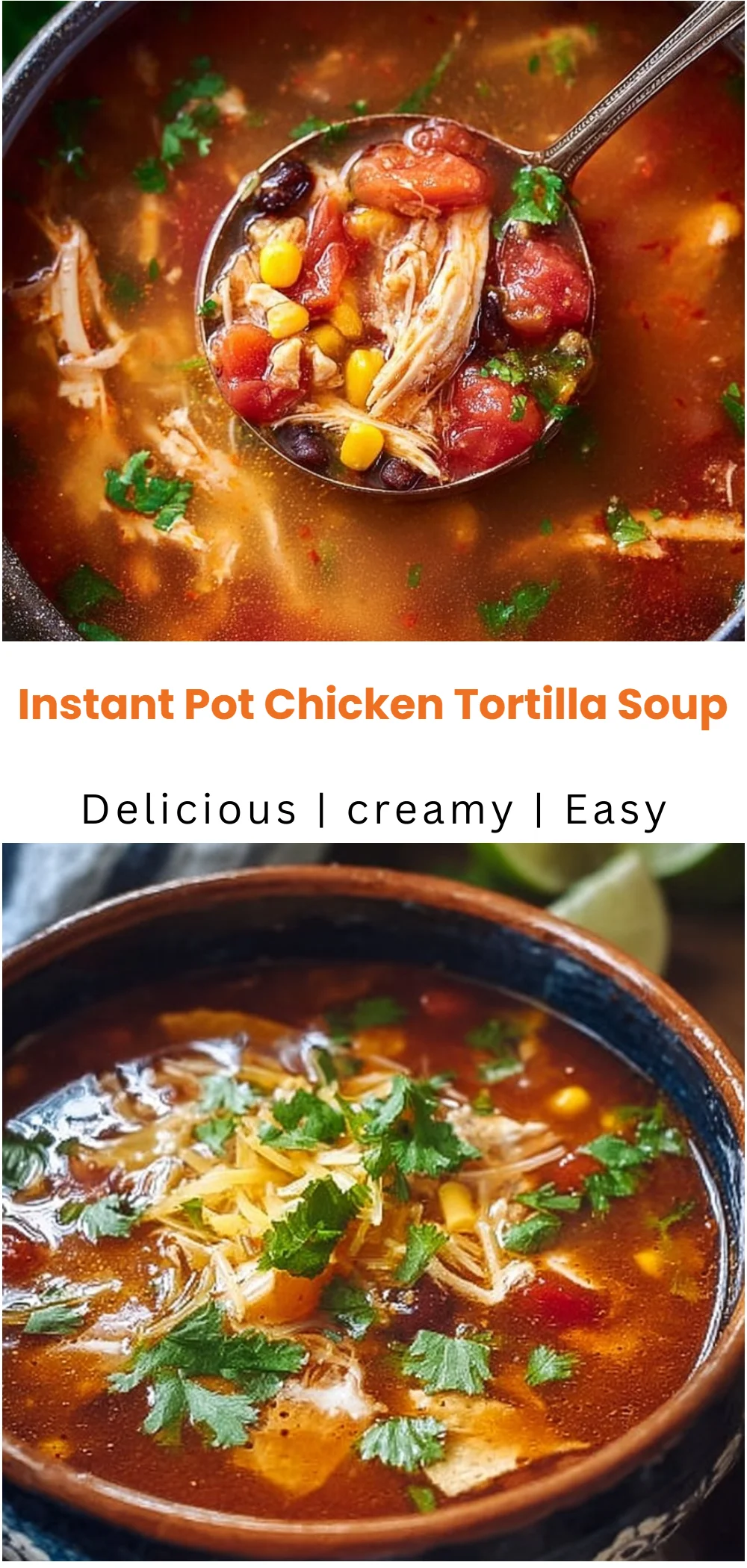 Instant Pot Chicken Tortilla Soup