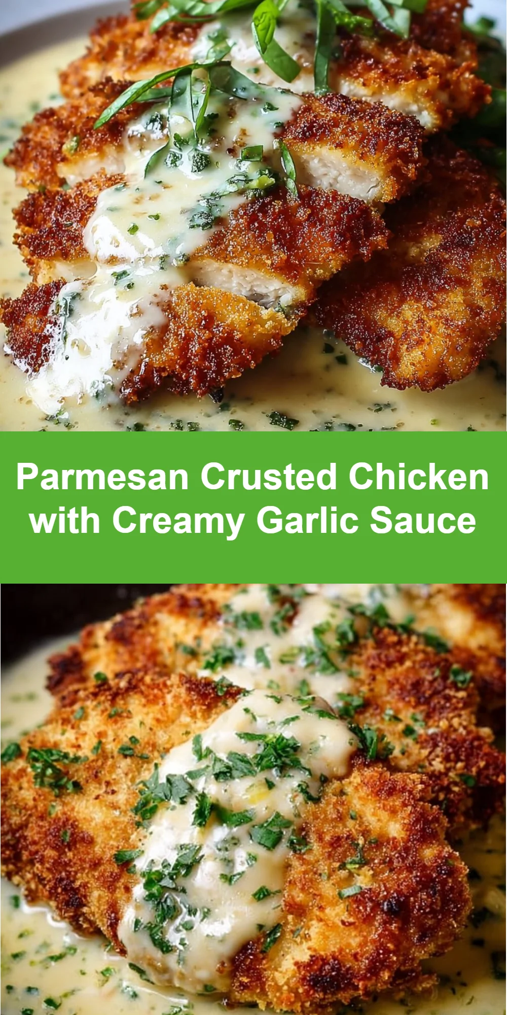 Parmesan Crusted Chicken with Creamy Garlic Sauce