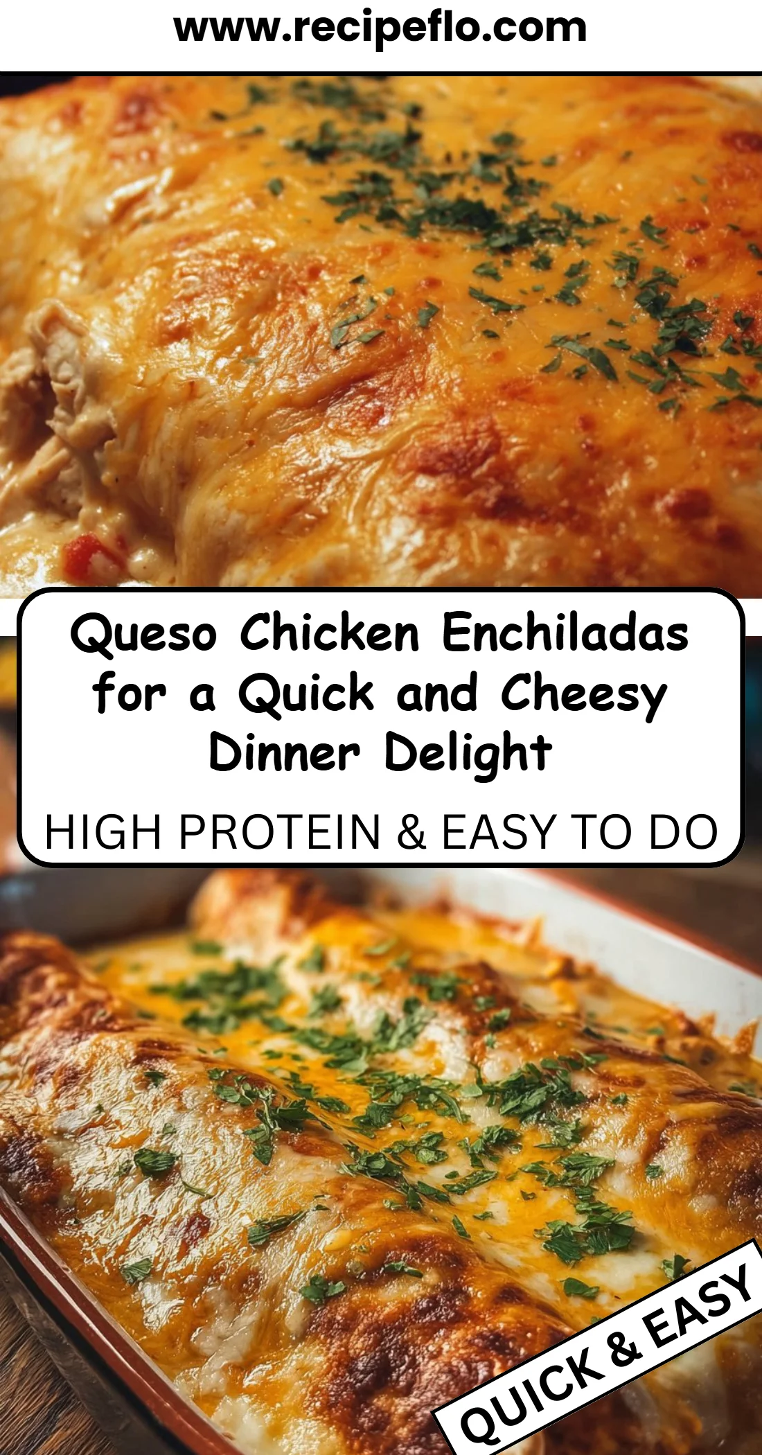 Queso Chicken Enchiladas for a Quick and Cheesy Dinner Delight 4 Queso Chicken Enchiladas for a Quick and Cheesy Dinner Delight